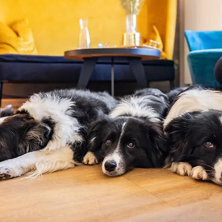Hotel Magdalena Im Zillertal - Urlaub Mit Hund Ried im Zillertal