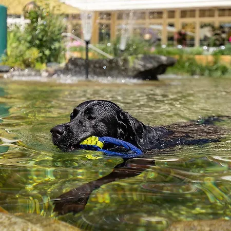 Magdalena Im Zillertal - Urlaub Mit Hund Hotel 4*