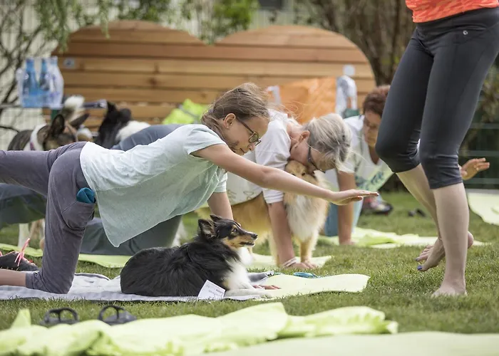 Hotel Magdalena Im Zillertal - Urlaub Mit Hund Ried im Zillertal
