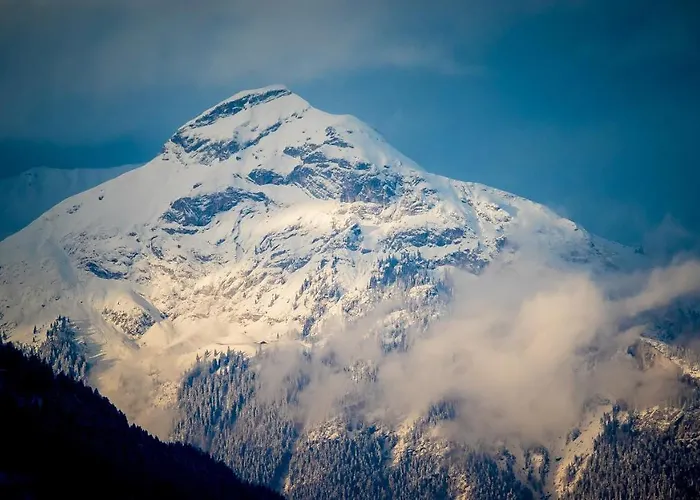 Magdalena Im Zillertal - Urlaub Mit Hund 4*