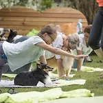 酒店 Magdalena Im Zillertal - Urlaub Mit Hund 齐勒河谷的里德