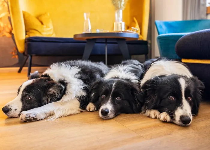 酒店 Magdalena Im Zillertal - Urlaub Mit Hund 齐勒河谷的里德