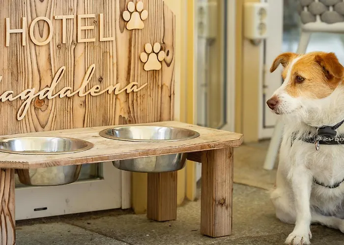 Magdalena Im Zillertal - Urlaub Mit Hund 齐勒河谷的里德