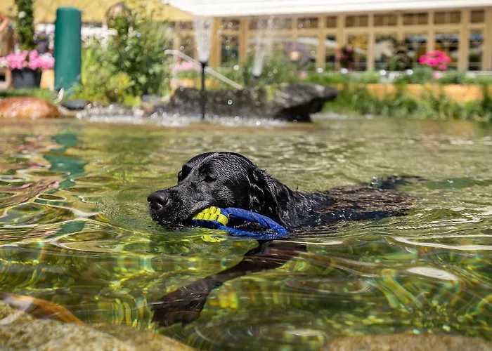 Magdalena Im Zillertal - Urlaub Mit Hund 酒店 4*