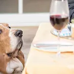 Magdalena Im Zillertal - Urlaub Mit Hund ホテル リート・イム・ツィラータール