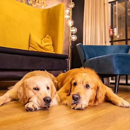 Hotel Magdalena Im Zillertal - Urlaub Mit Hund Ried im Zillertal
