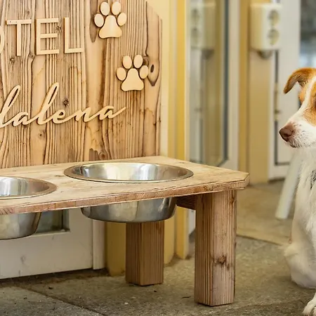 Magdalena Im Zillertal - Urlaub Mit Hund Ried im Zillertal