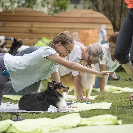 Hotel Magdalena Im Zillertal - Urlaub Mit Hund Ried im Zillertal