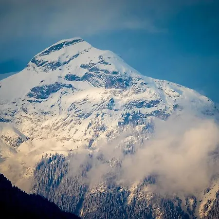 Magdalena Im Zillertal - Urlaub Mit Hund 4*