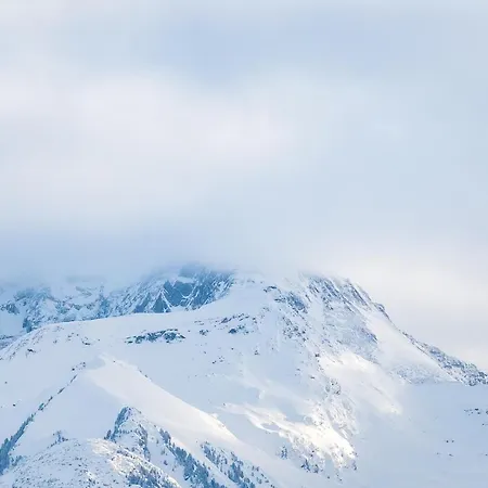 Magdalena Im Zillertal - Urlaub Mit Hund