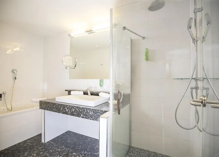 Magdalena Im Zillertal - Urlaub Mit Hund 4* Ried im Zillertal